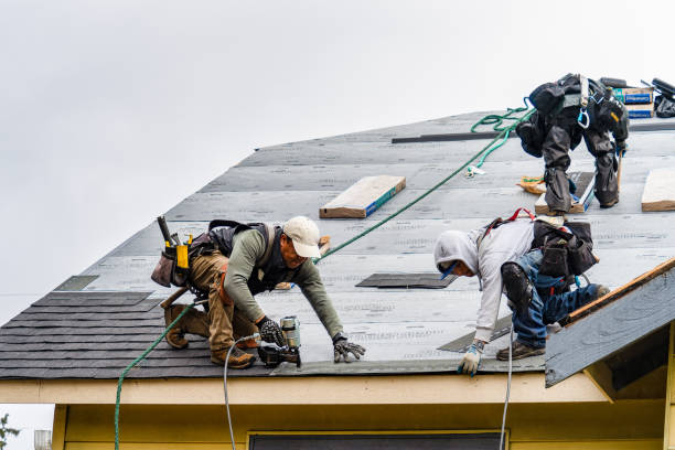 Professional Storm Damage Roof Repair technician working in Gibsonville, NC